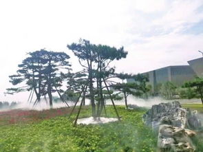 鄭州創建國家生態園林城市成果滿滿 人均公園綠地達到13㎡