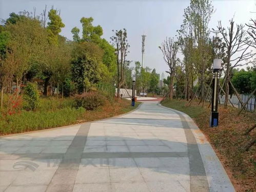 8大類57項 創(chuàng)建園林城市需要你的參與