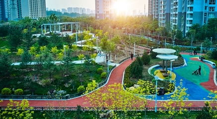 省住房和城鄉建設廳通報城市園林綠化建設管理監督檢查情況