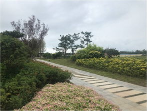 青島市住房和城鄉建設局