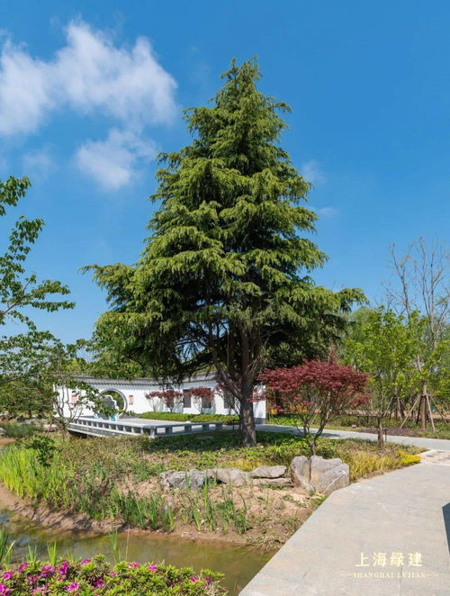 漂亮 云打卡 合慶郊野公園,共賞美景ing