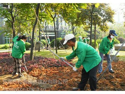 【供應東莞園林綠化養護管理、工業園綠化養護、花草護理圖片】供應東莞園林綠化養護管理、工業園綠化養護、花草護理