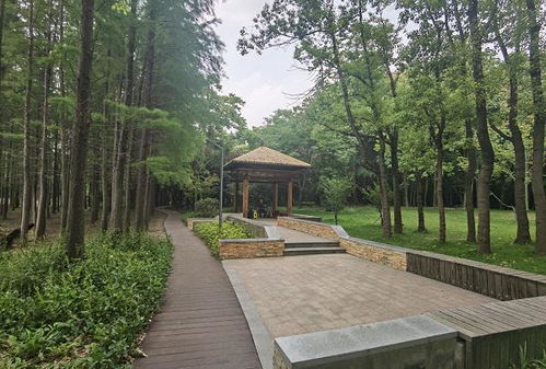 首批 環(huán)上 公園開園半年,市民滿意嗎 配套設(shè)施夠嗎 今天上海披露了測評結(jié)果