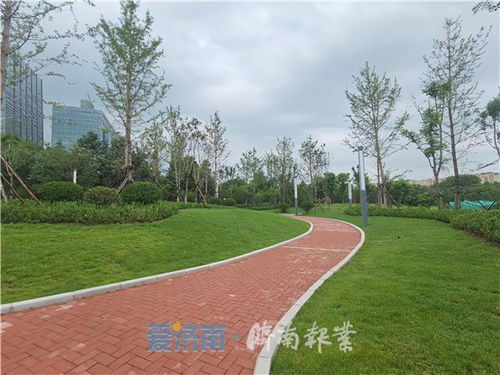 濟南又建成開放20處公園 今年底全市500平方米以上公園數量將過千