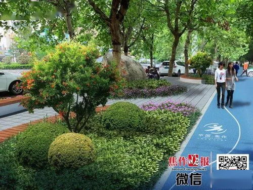 就在家門口,焦作要大面積建公園,建設(shè)標準出爐
