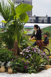 杭州藍天園林生態科技股份 園林綠化苗木 園林景觀設計 園林工程建設 城市園林綠化 風景園林設計 建筑景觀 景觀規劃 園林研究教育