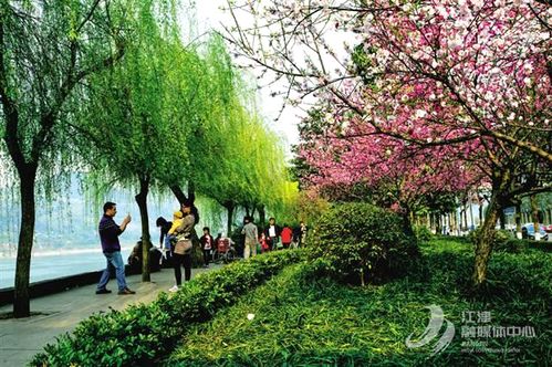 百圖見證江津黨史丨創建重慶山水園林城市