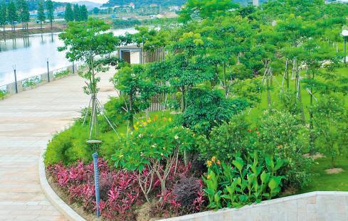 城市園林綠化建設現狀分析 市場發展前景與效率-搜狐