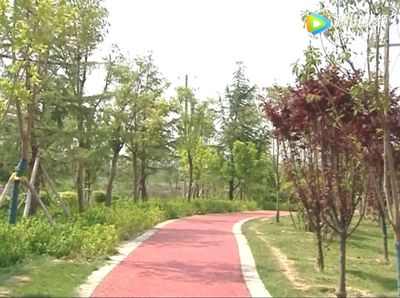 【創城進行時】菏澤又新增一條景觀帶,園林綠化建設讓城市更加美麗宜居!