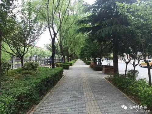洛南積極創建省級生態園林城市