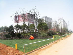 杭州藍天園林生態科技股份 園林綠化苗木 園林景觀設計 園林工程建設 城市園林綠化 風景園林設計 建筑景觀 景觀規劃 園林研究教育