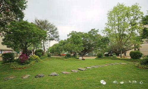 陽春6間學校被評為 創(chuàng)建國家森林城市示范學校