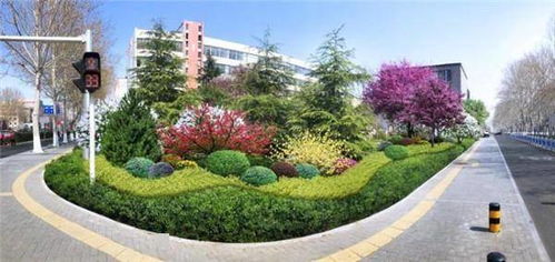 啟動 十大行動 全域公園建設 淄博這樣起步