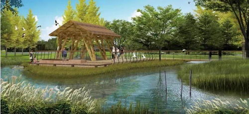 劇透 常營公園即將 大翻新 改造后將變成這樣