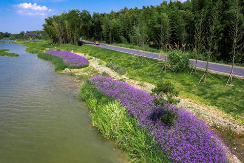 平天湖風景區 一路景觀煥新顏 花園城市 初顯形