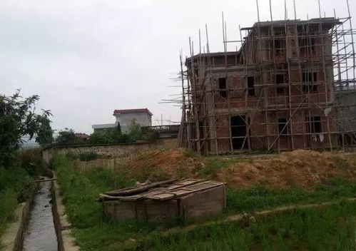 漂泊多年回鄉建別墅,房子設計一波三折,建成卻引來全鄉觀摩 內附建房全過程