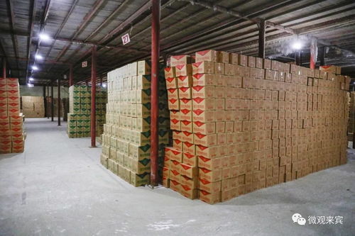 探秘 來賓的大型 冰工廠 ,原來在這里