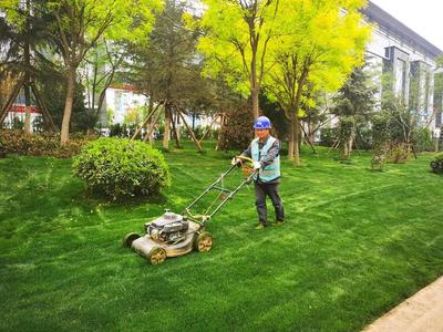 陜建古建園林集團港務區園林綠化項目施工側記