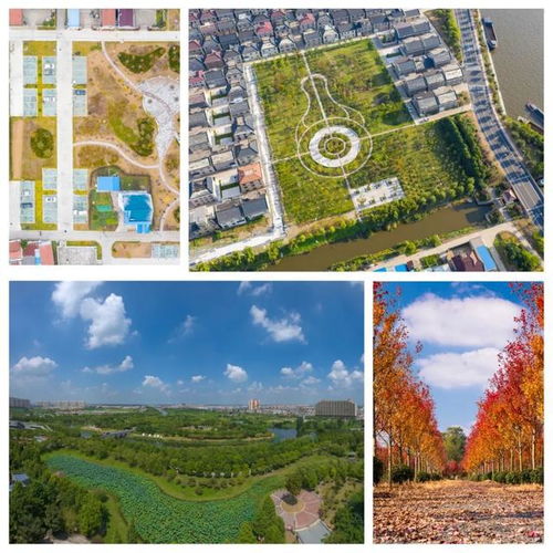 海安市城建集團董事長魯德平帶隊調研園林綠化公司