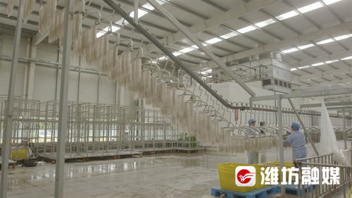 濰觀 濰坊安丘 工業(yè)立市 背后的卓越力量