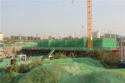 快看看有你們村嗎 日照多個(gè)城中村改造安置區(qū)最新建設(shè)進(jìn)展