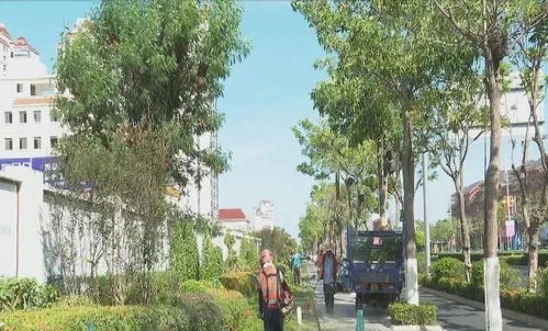 東方綠化美化靚化城市 提升群眾幸福指數
