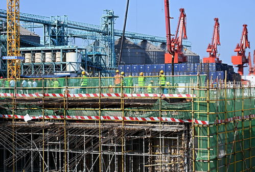 青島國際郵輪港區 搶抓施工 黃金期 建設按下 快進鍵