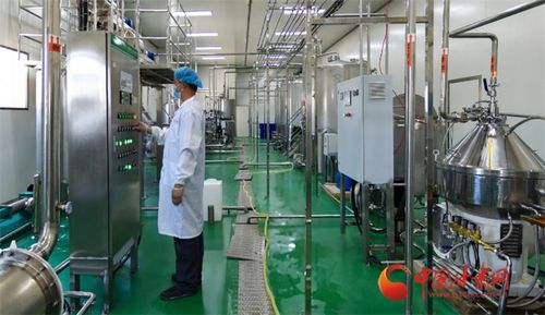 定西漳縣 小小沙棘果 致富大能量
