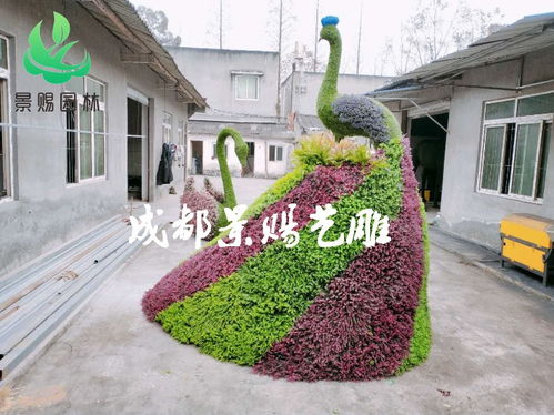 【花瓶綠雕造型定制,真植物蝴蝶造型花瓶造型花柱花球造型綠雕】- 