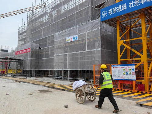 五一 不停工,青浦區(qū)安置房項目建設(shè)如火如荼