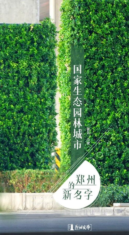 綠綠綠綠綠綠綠 鄭州榮膺 國家生態園林城市 稱號